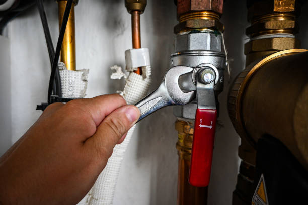 Best Leak Detection Services  in Columbia Heights, MN